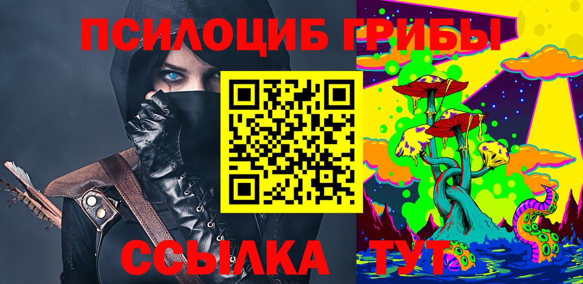 Псилоцибиновые грибы мицелий Шебекино