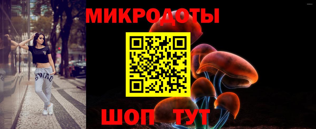 Шебекино  Галлюциногенные грибы Psilocybine cubensis  Вход с VPN  Псилоцибиновые грибы мухоморы 